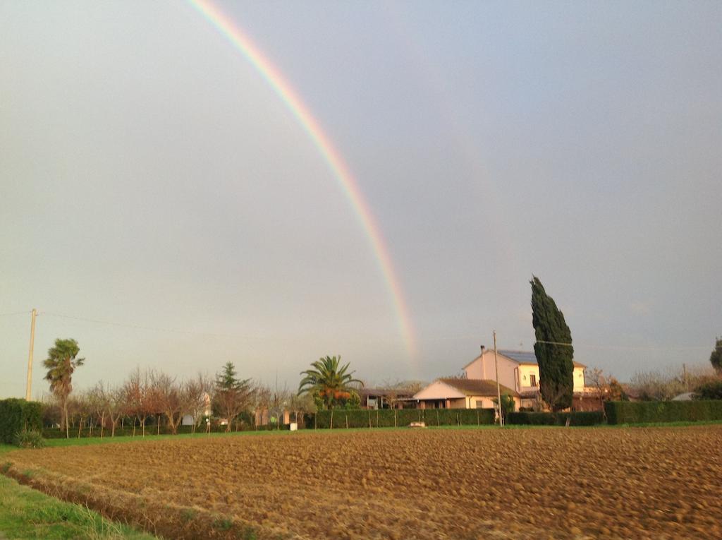 Agriturismo Al Vermigliano Alberese Zewnętrze zdjęcie